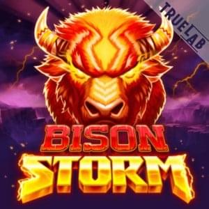 Bison Storm